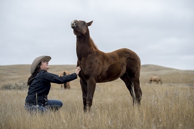 Native Growers Decolonize Regenerative Agriculture