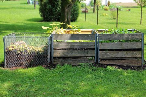 6 Widespread Composting Selections | Inexperienced America