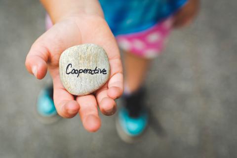 7 DIY Cooperatives at Home