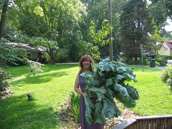 5 Steps to Start an Pure Vegetable Yard